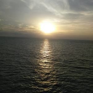 Meet your Posher, Missy